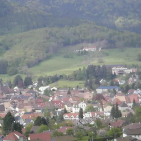 Gite Violette Et Pierrot Masevaux-Niederbruck Buitenkant foto