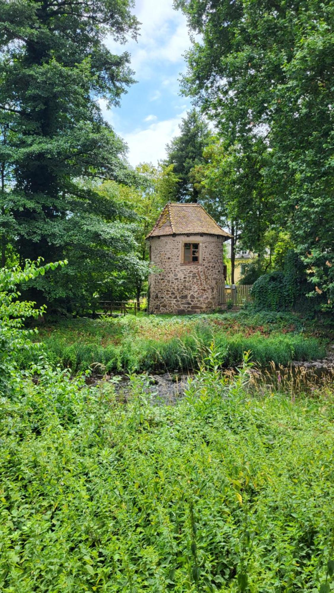Violette Et Pierrot Masevaux-Niederbruck