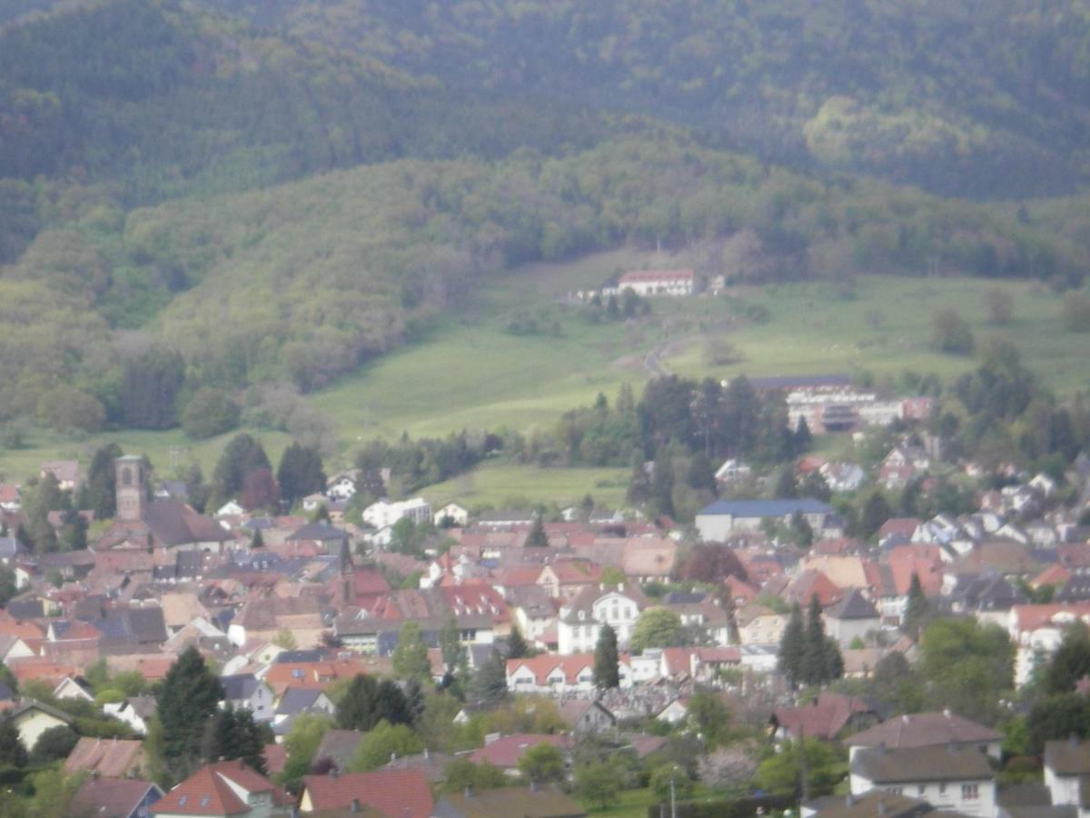 Violette Et Pierrot Holiday home Masevaux-Niederbruck